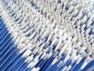 Foam Swabs